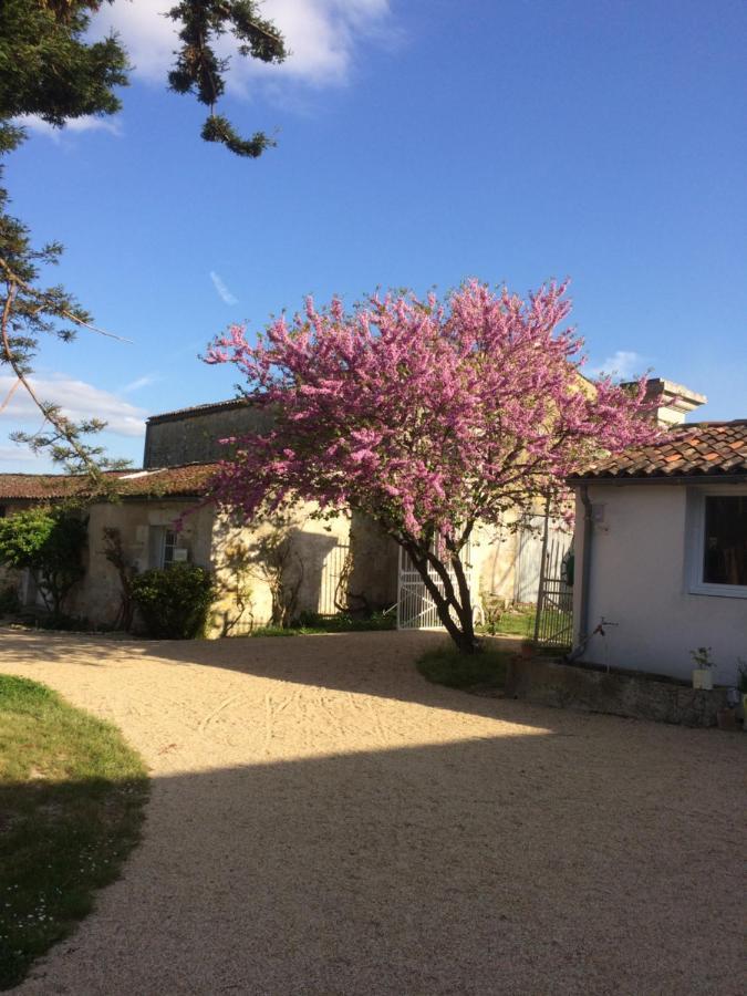 Le Logis Du Plessis Bed and Breakfast Chaniers Buitenkant foto