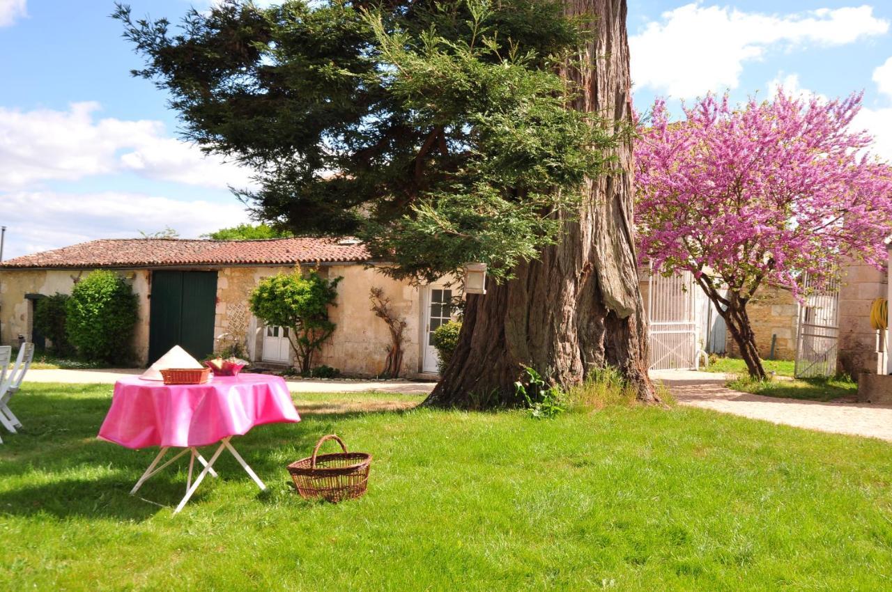 Le Logis Du Plessis Bed and Breakfast Chaniers Buitenkant foto